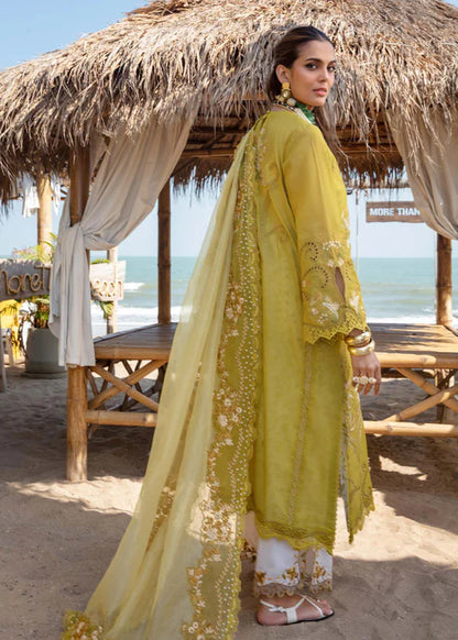 SAMARA-A- Olive Lawn '25 Ensemble By- Saira Shakira