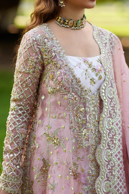 Shadmani Luxury Formals-Qalamkar-SAIRA SH-08