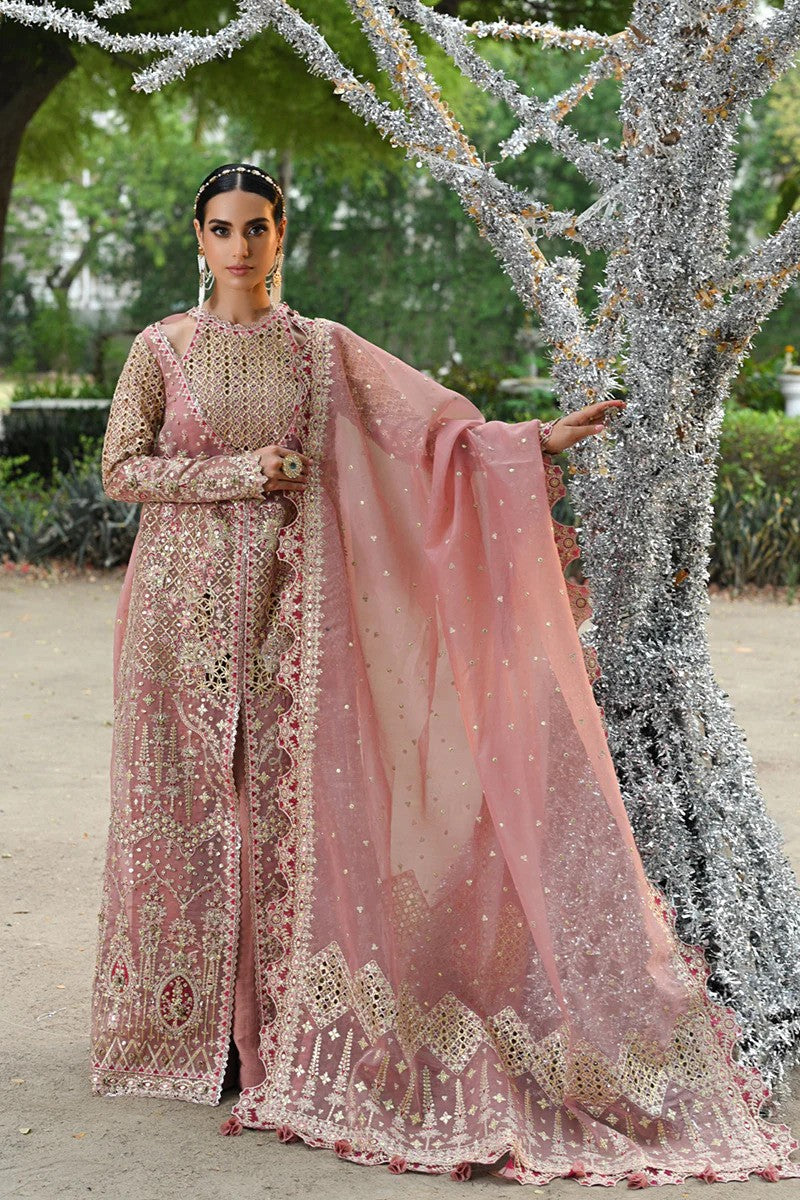 Saleha - Pakistani Wedding Formal Wear By Qalamkar