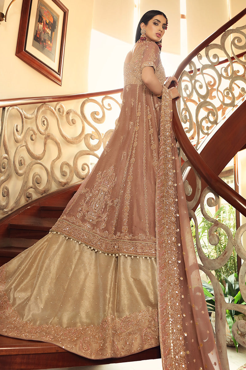 Shahbano-Ethereal lilac Paksitani Wedding dress with tissue Lehenga