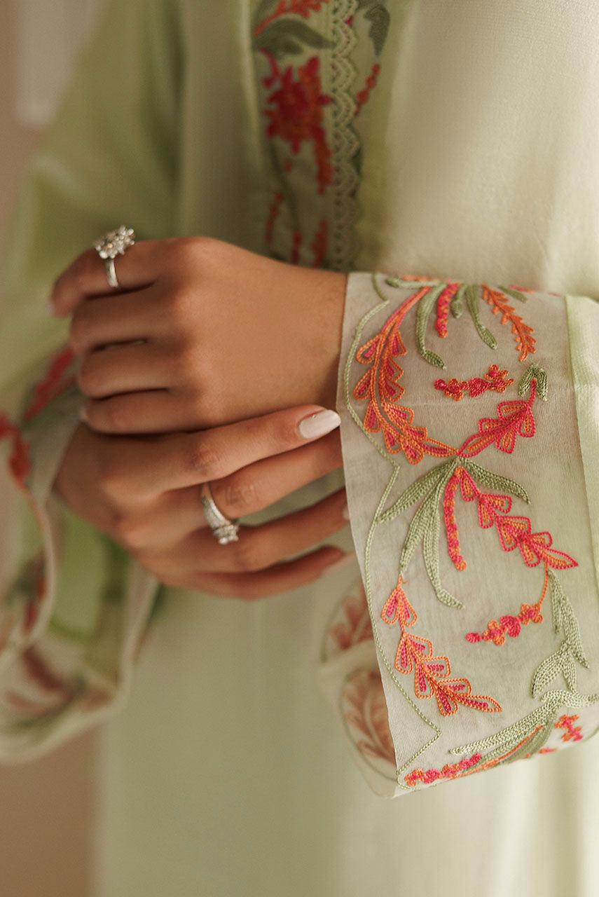 Light green Pakistani raw silk outfit with lace pants and organza dupatta.