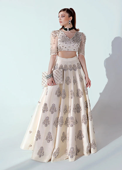 White and silver Pakistani lehenga choli with pearl, sequin, and bead embellishments, v-neck puffed sleeve choli, and an organza dupatta – ideal for weddings and formal events.