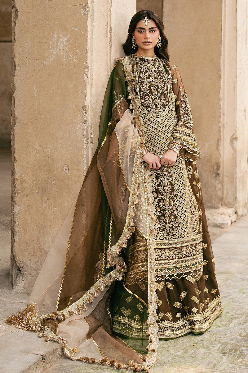 Tabeer MNR brown heavily embellished organza sharara set with printed dupatta, stitched and available at Pakistanimoda for USA & Canada delivery.