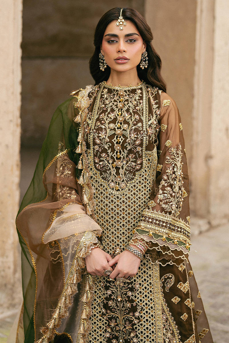 Tabeer MNR brown heavily embellished organza sharara set with printed dupatta, stitched and available at Pakistanimoda for USA & Canada delivery.