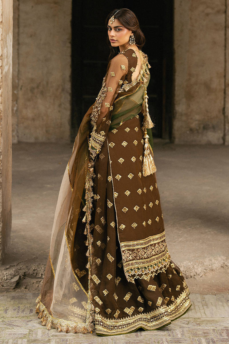 Tabeer MNR brown heavily embellished organza sharara set with printed dupatta, stitched and available at Pakistanimoda for USA & Canada delivery.