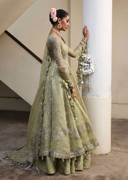 Tahiri- Darlings Festive'25 By- Hussain Rehar