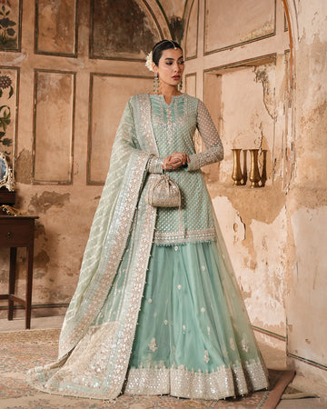 Valari- Embroidered Pastel Blue Net Sharara Dress For Women
