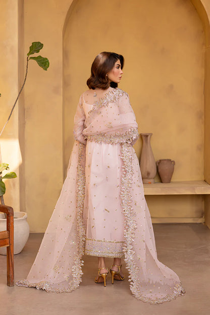 Soft pink embroidered organza dress with dupatta and silk trousers.