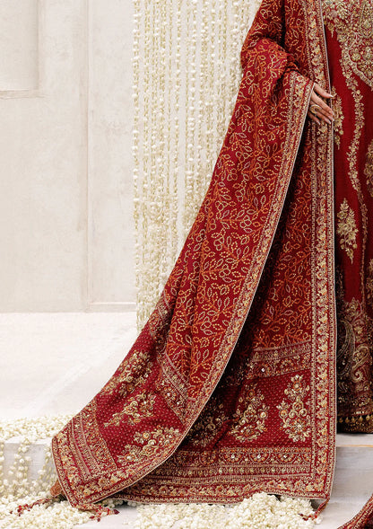 AIK Wedding Festive 25 Vol 2 red embellished embroidered medium silk shawl – Pakistanimoda.com